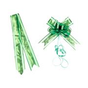 Trăgând panglică în culoare verde - pachet de 10 bucăți 5x76cm, ACC18V