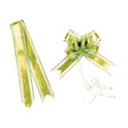 Knot to pull anise green color - pack of 10 pieces 5x76cm, ACC18A